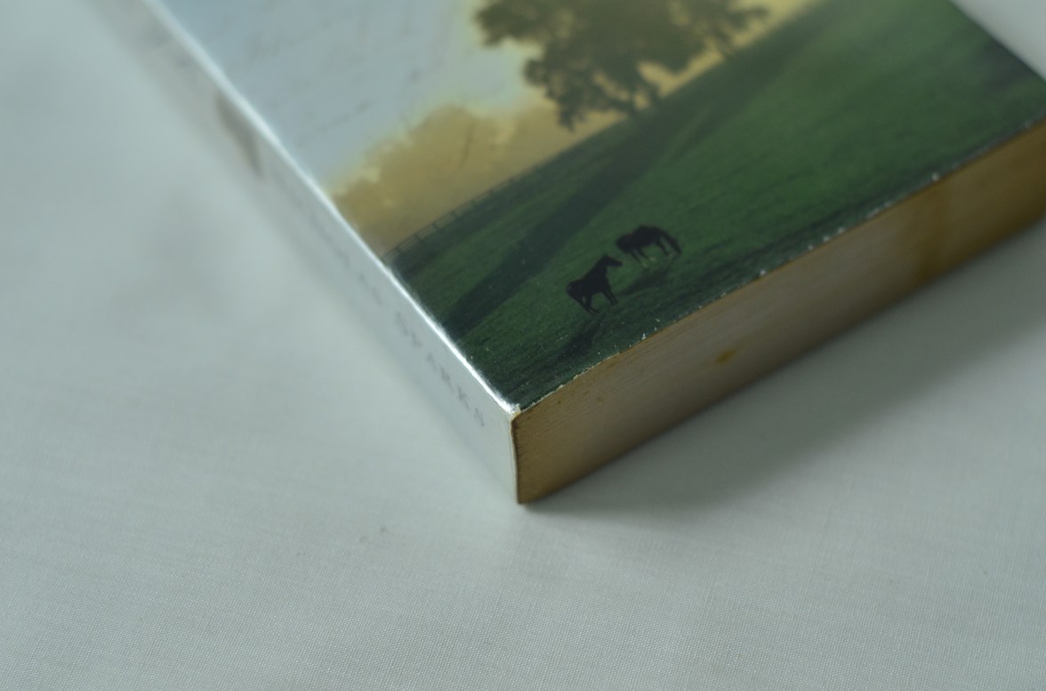 Dear John - Nicholas Sparks 