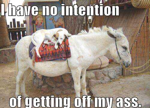 I-Have-No-Intention-Inspirational-Life-Quotes